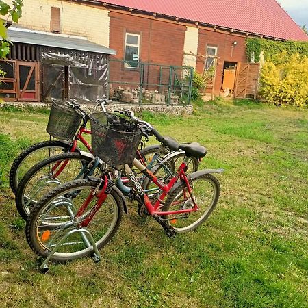 Malinowy Gaj - Agroturystyka Z Alpakami I Innymi Zwierzetami Swietajno  Exterior photo