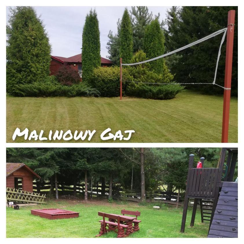 Malinowy Gaj - Agroturystyka Z Alpakami I Innymi Zwierzetami Swietajno  Exterior photo