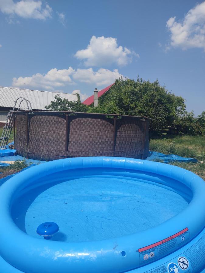 Malinowy Gaj - Agroturystyka Z Alpakami I Innymi Zwierzetami Swietajno  Exterior photo