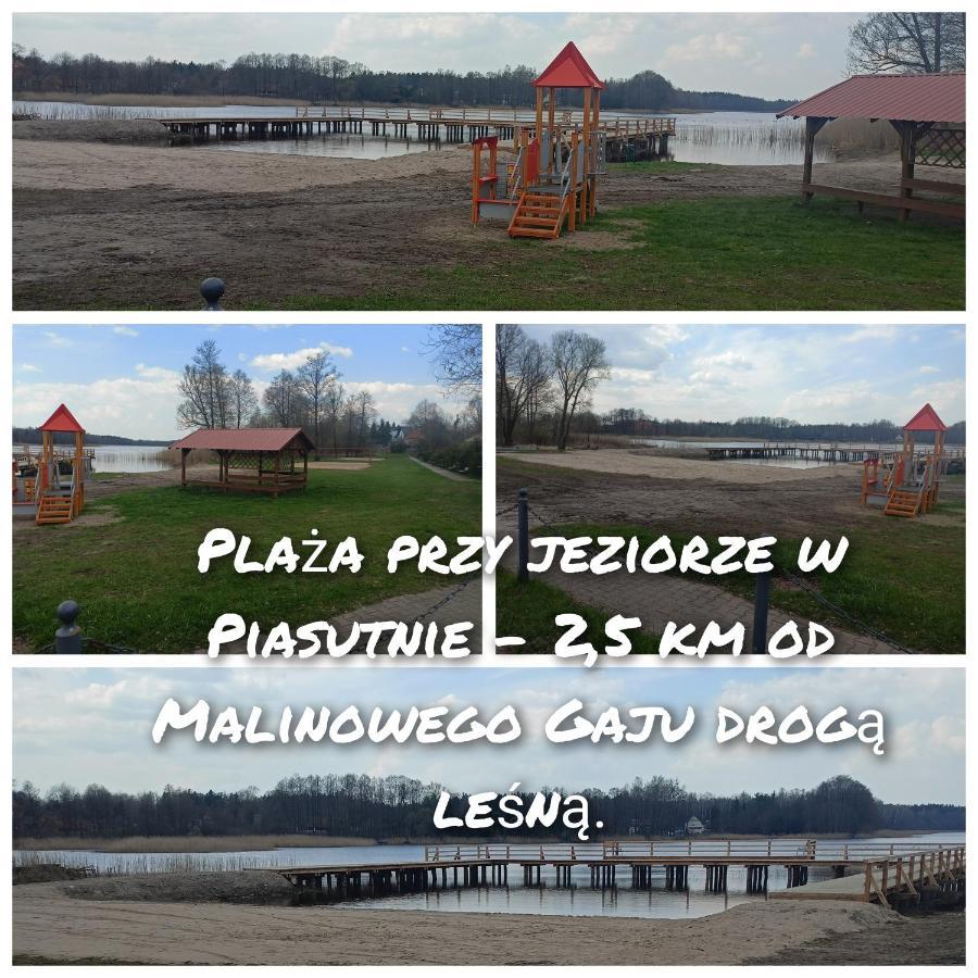 Malinowy Gaj - Agroturystyka Z Alpakami I Innymi Zwierzetami Swietajno  Exterior photo