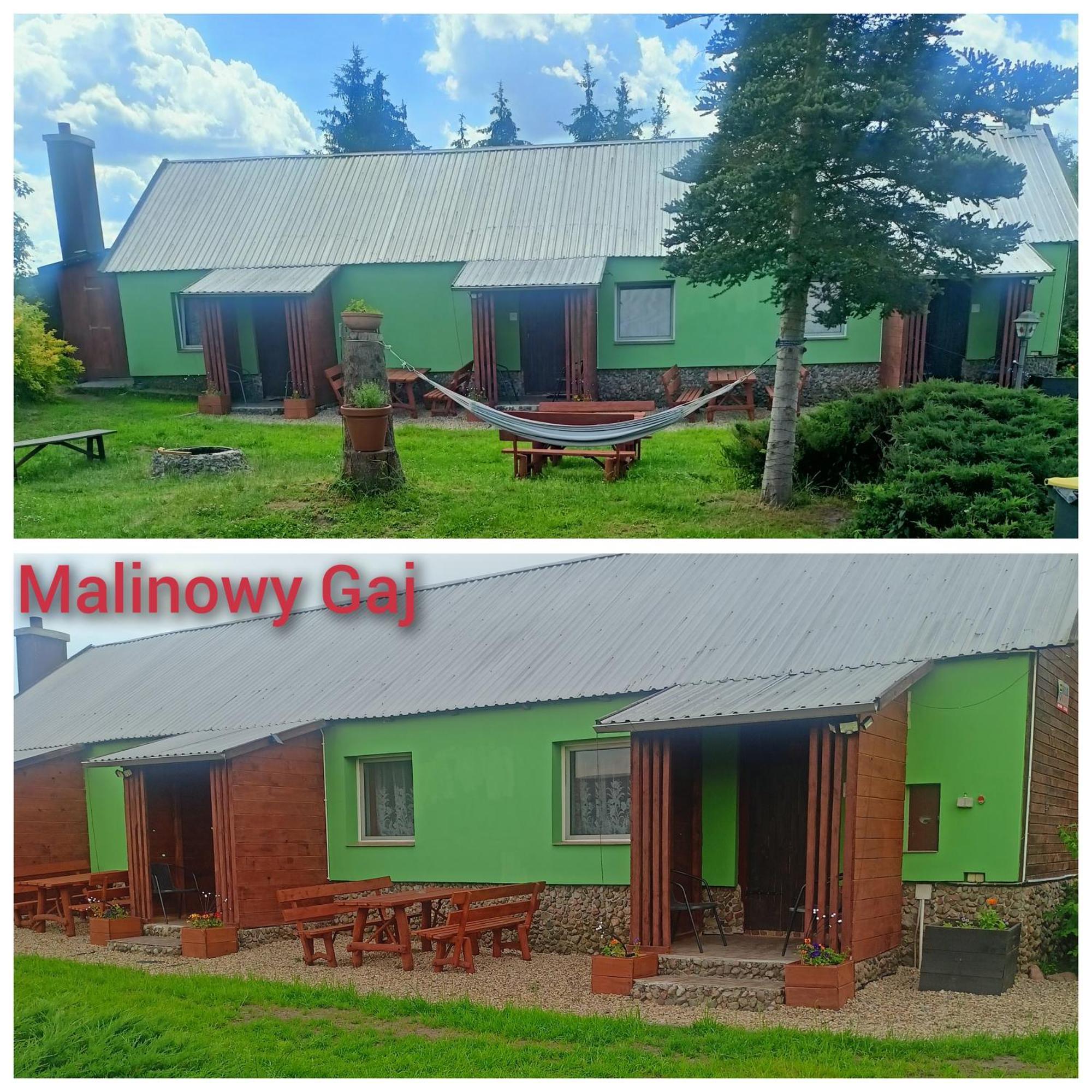Malinowy Gaj - Agroturystyka Z Alpakami I Innymi Zwierzetami Swietajno  Exterior photo