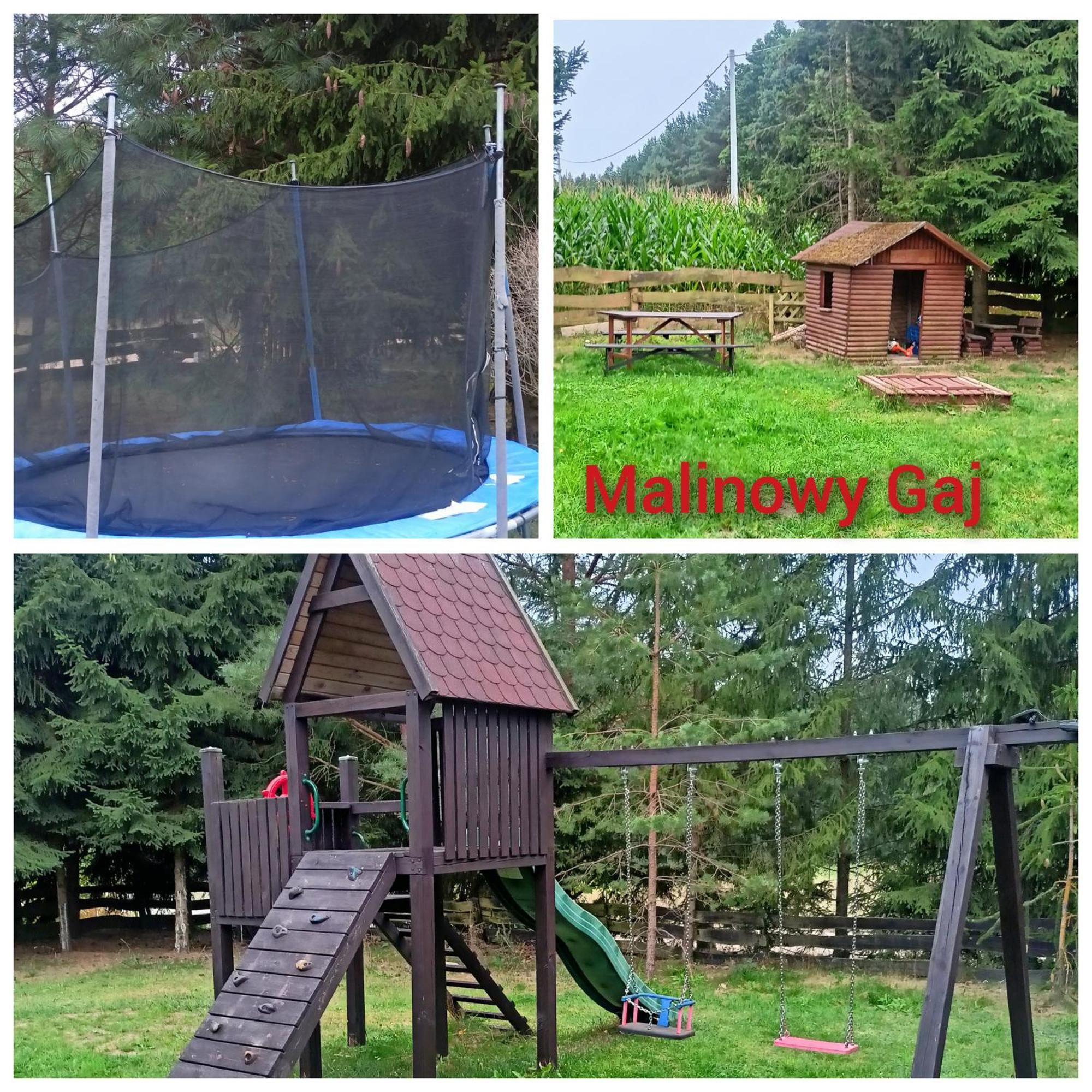 Malinowy Gaj - Agroturystyka Z Alpakami I Innymi Zwierzetami Swietajno  Exterior photo