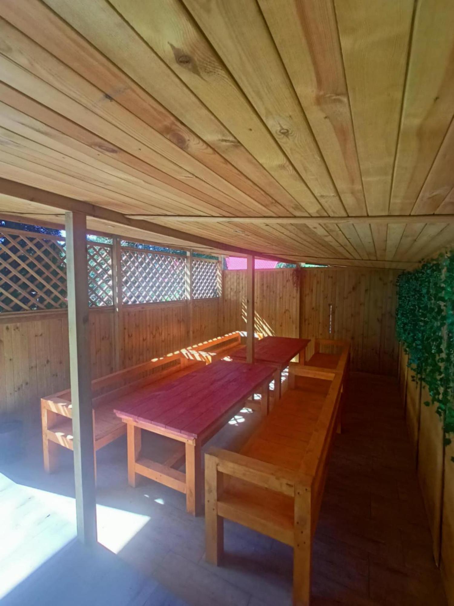 Malinowy Gaj - Agroturystyka Z Alpakami I Innymi Zwierzetami Swietajno  Exterior photo